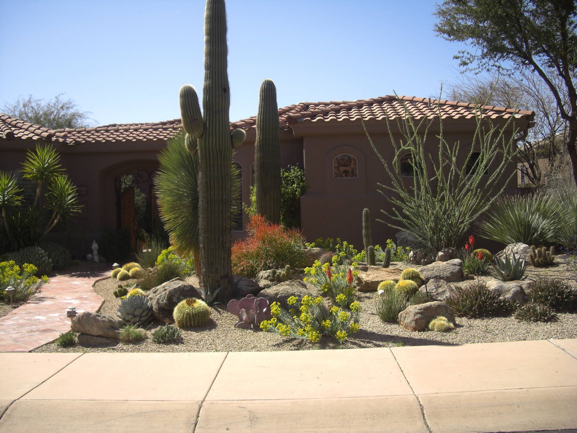 A house with a lot of cactus in front of it
