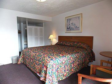 Floral print bed-motel-Pittsburgh, PA