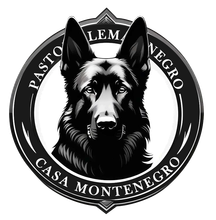 pastor aleman negro venta