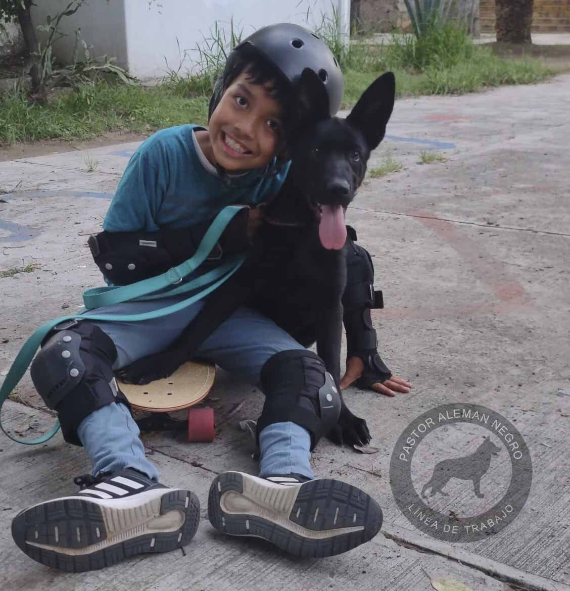 pastor aleman negro