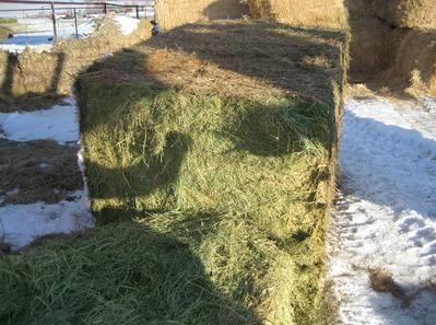 A pile of hay bales sitting on top of each other in the snow.