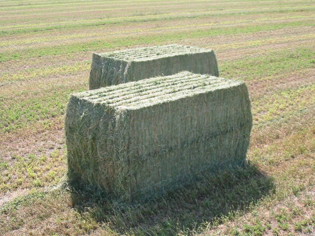 Two bales of hay are sitting on top of each other in a field.