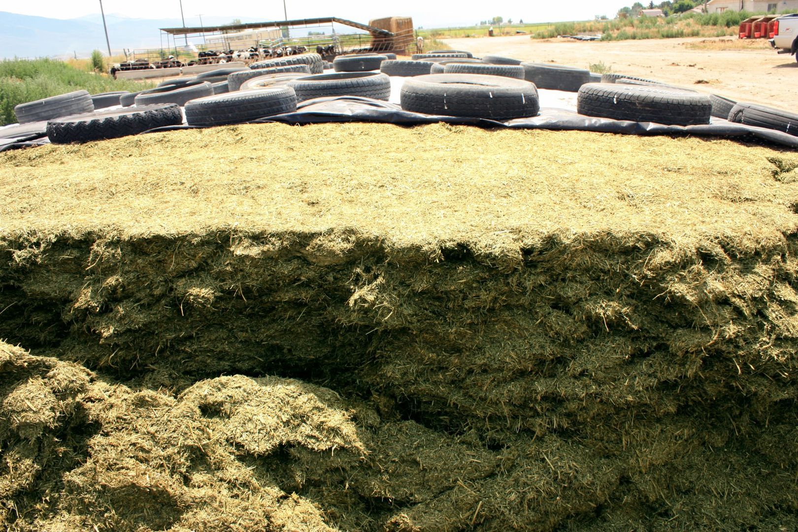 A pile of hay is sitting on top of a pile of tires.