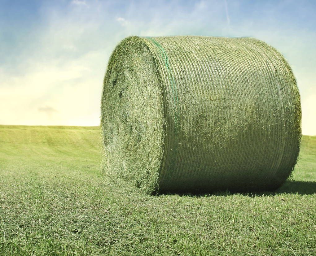 A large bale of hay is sitting in the middle of a grassy field.