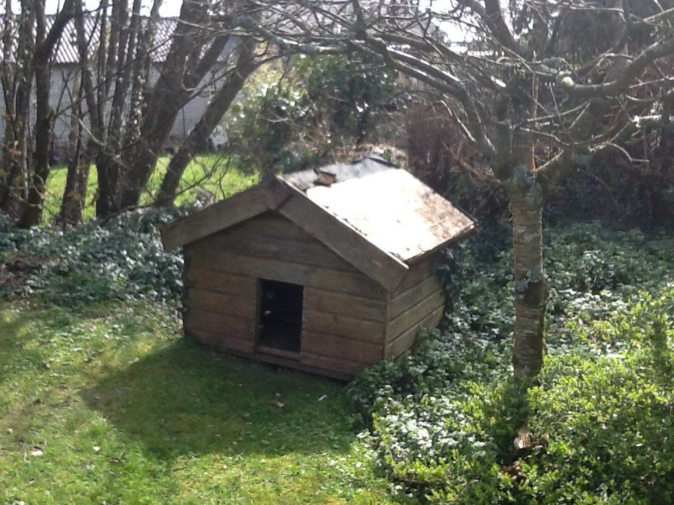 garden shed 6
