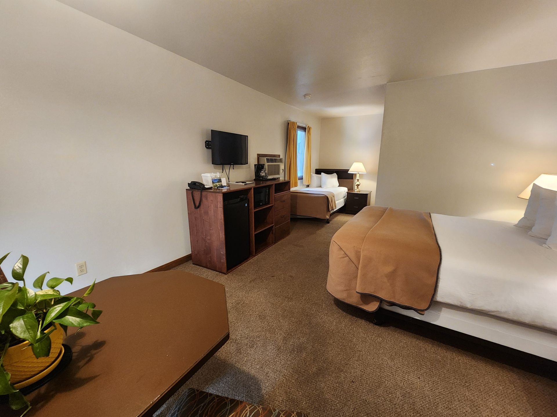 Hotel room with two beds, TV, dresser, and a table with plant.