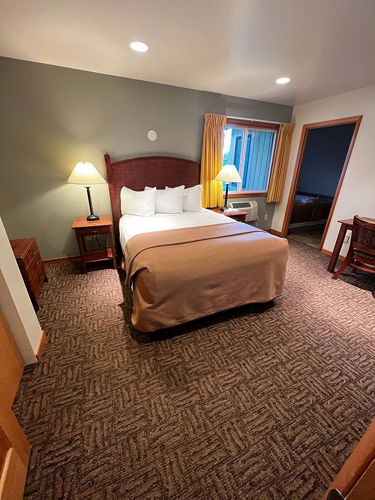 Hotel room with a bed, lamps, and a window. Brown and green colors.