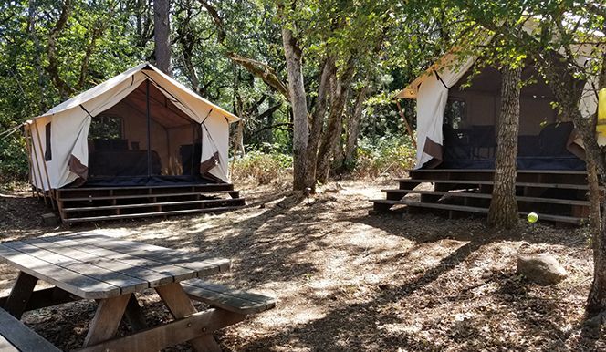 Two canvas tents on raised platforms in a wooded campsite with a picnic table in the foreground.