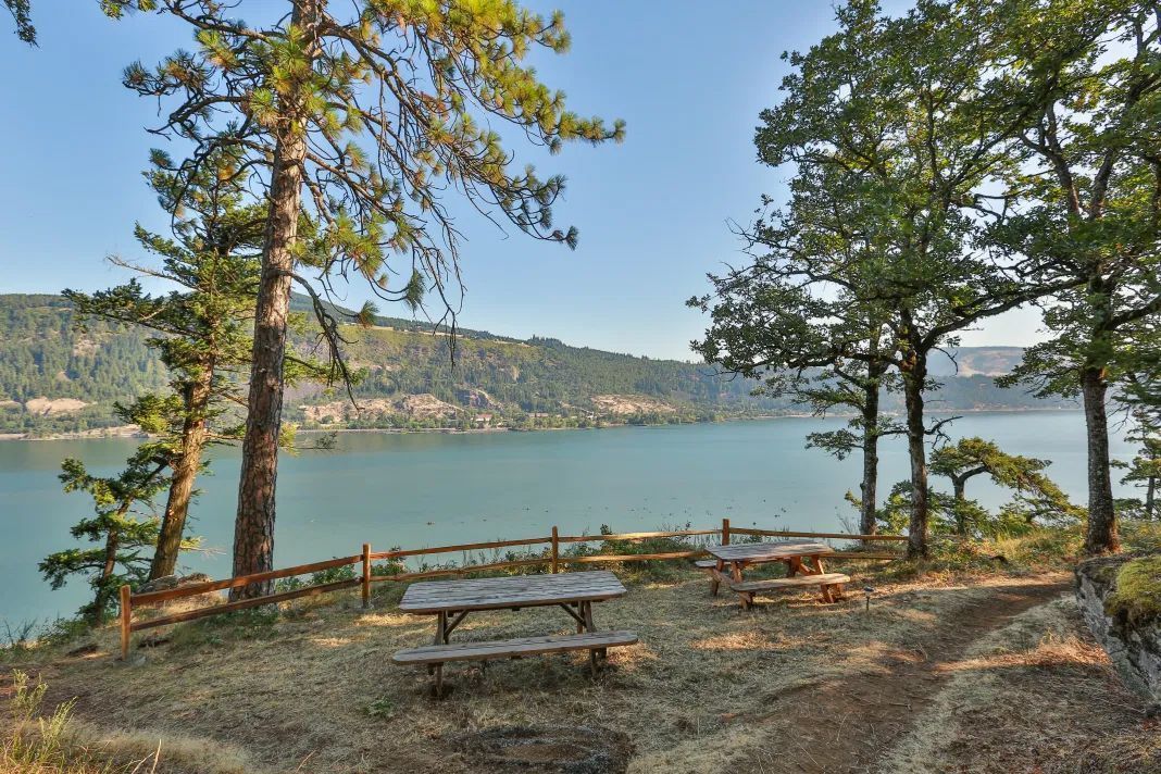Picnic tables overlooking a large body of water, with trees and hills in the background.