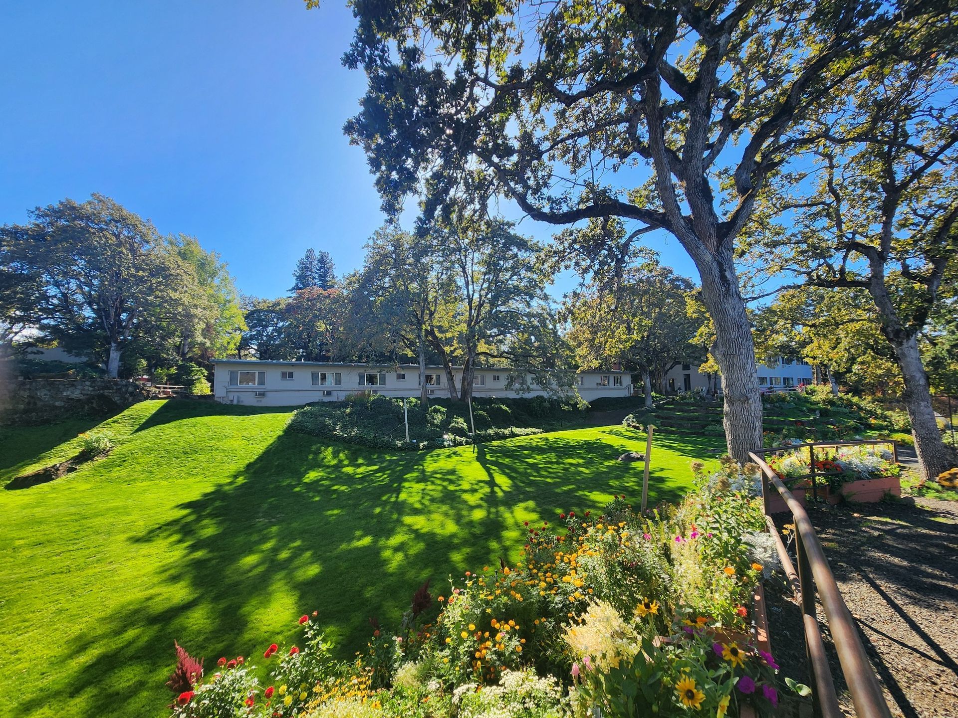 Grassy hill with a long, light-colored building. Trees cast shadows on the green. Colorful flowers in foreground.