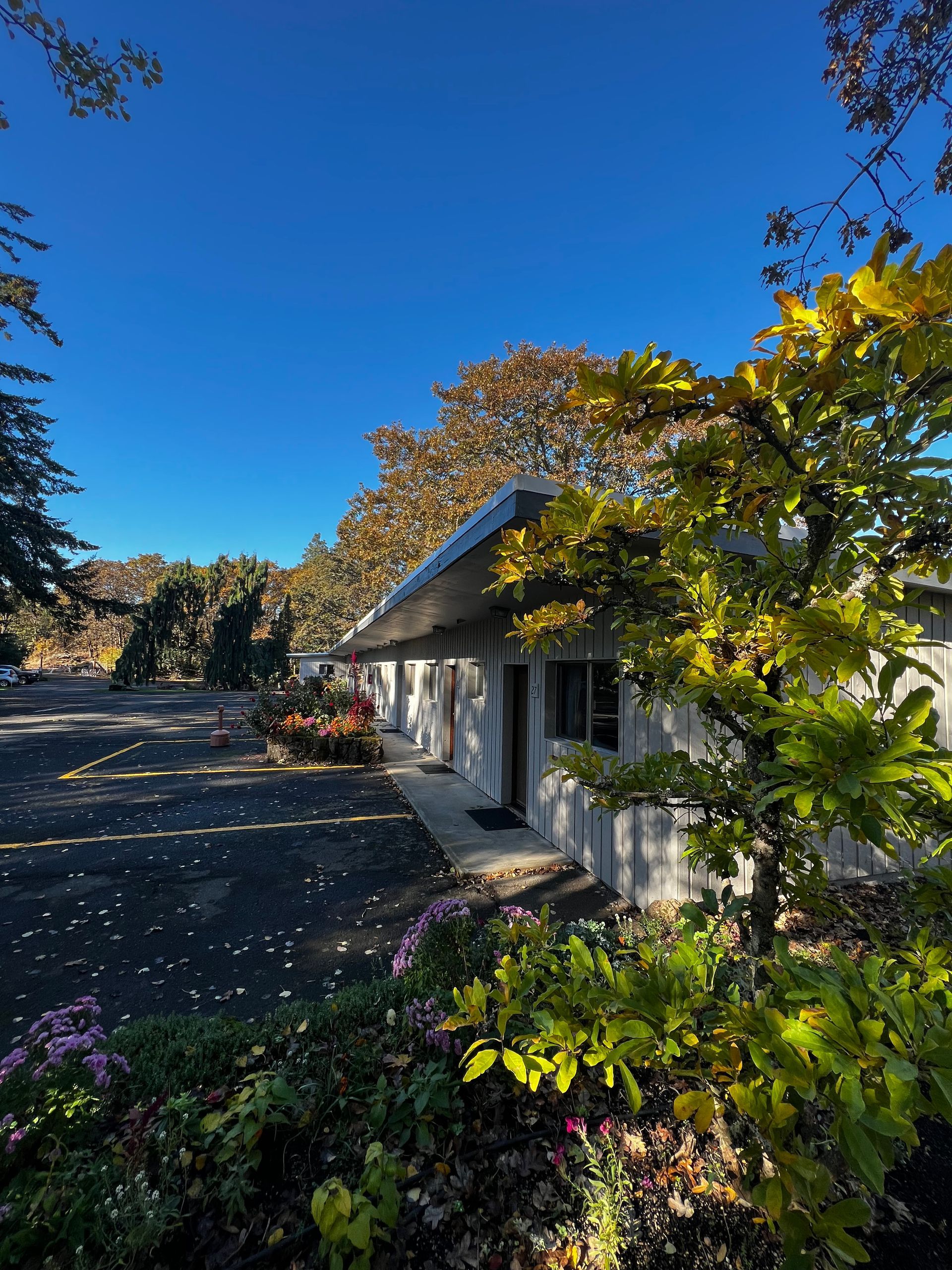 A single-story, white building with a dark roof on a bright, sunny day with vibrant fall foliage and blue sky.