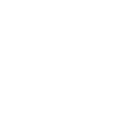 Empty white background. Empty white background.