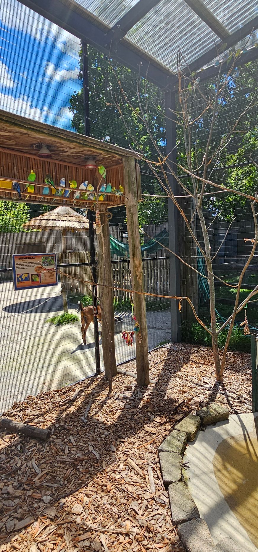 A bird cage with a lot of birds inside of it.