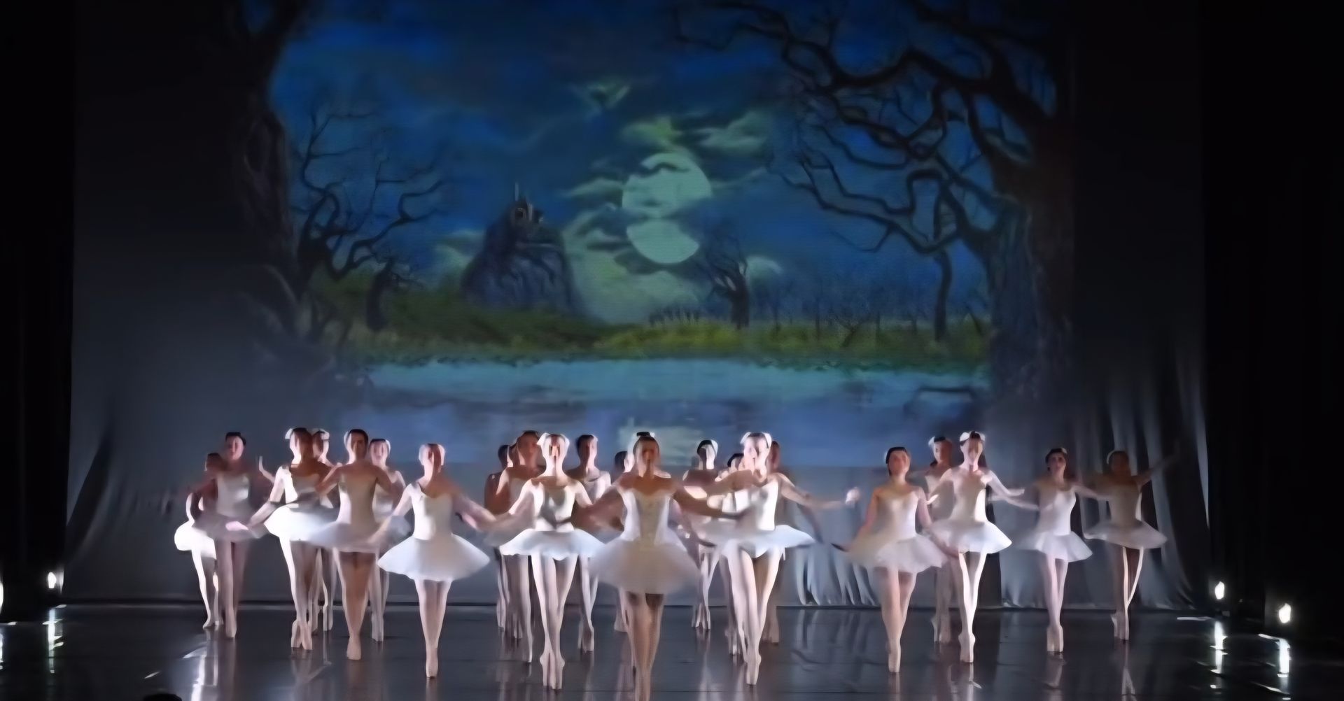 A group of ballet dancers in white tutus perform in formation on a stage before a painted backdrop of a dark forest.