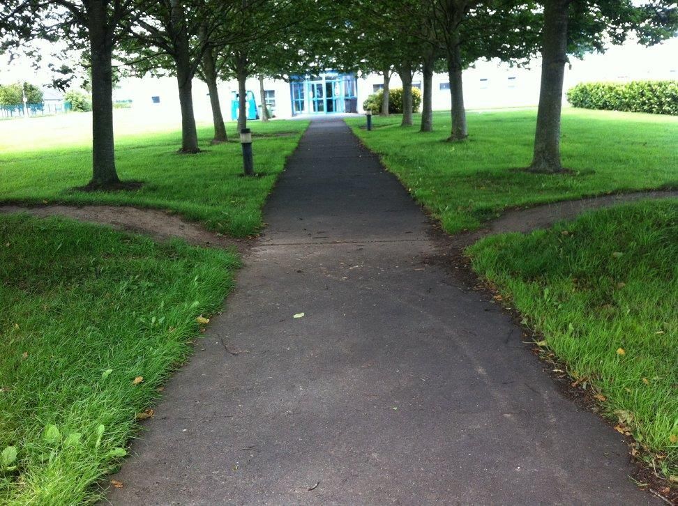 A straight paved path lined with trees leads toward a distant building, with smaller dirt paths branching off to the sides.