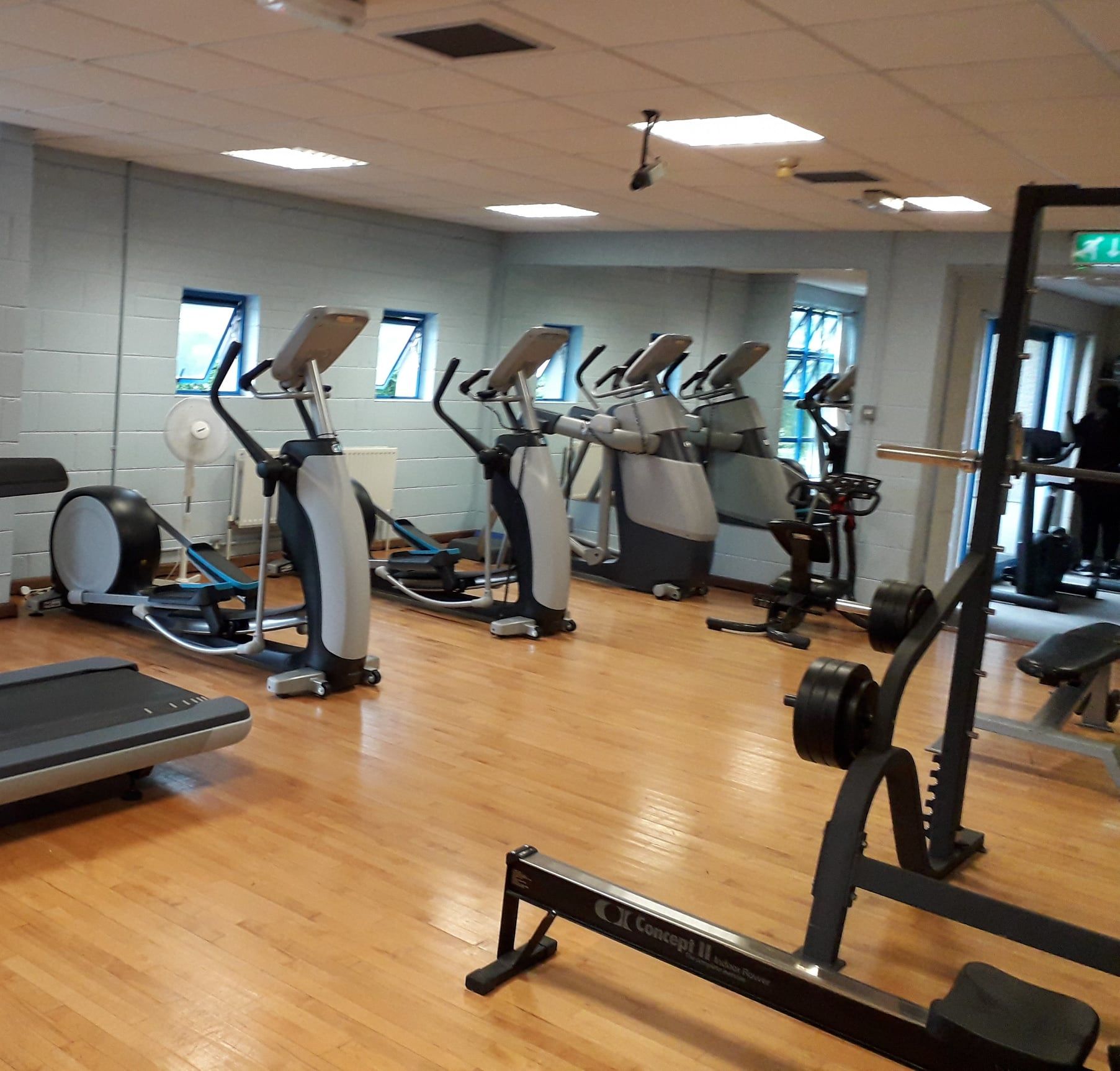 An indoor gym with rows of elliptical trainers, a treadmill, and a weight-lifting rack on a wooden floor.