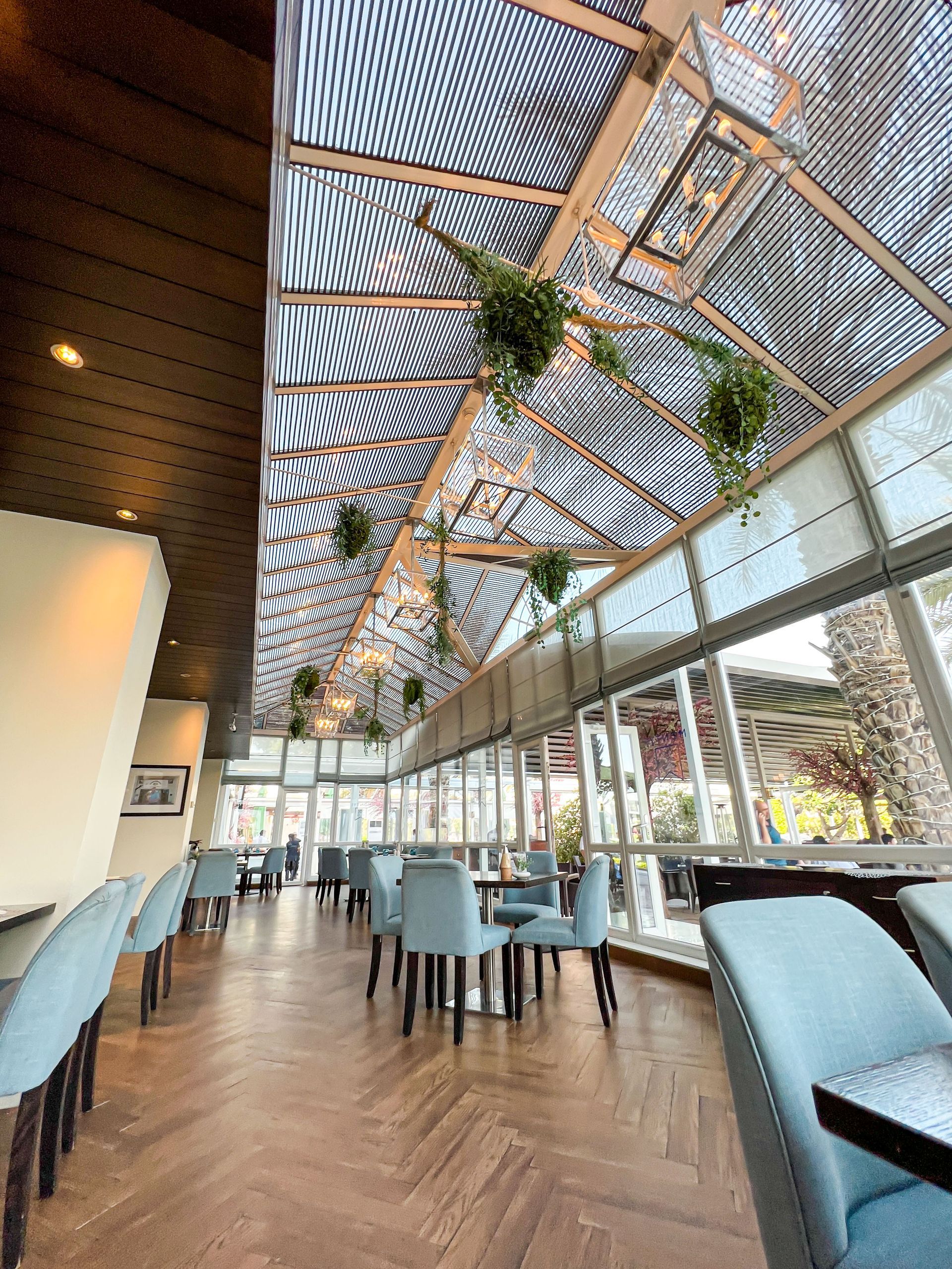 A restaurant with tables and chairs and a ceiling with plants hanging from it.