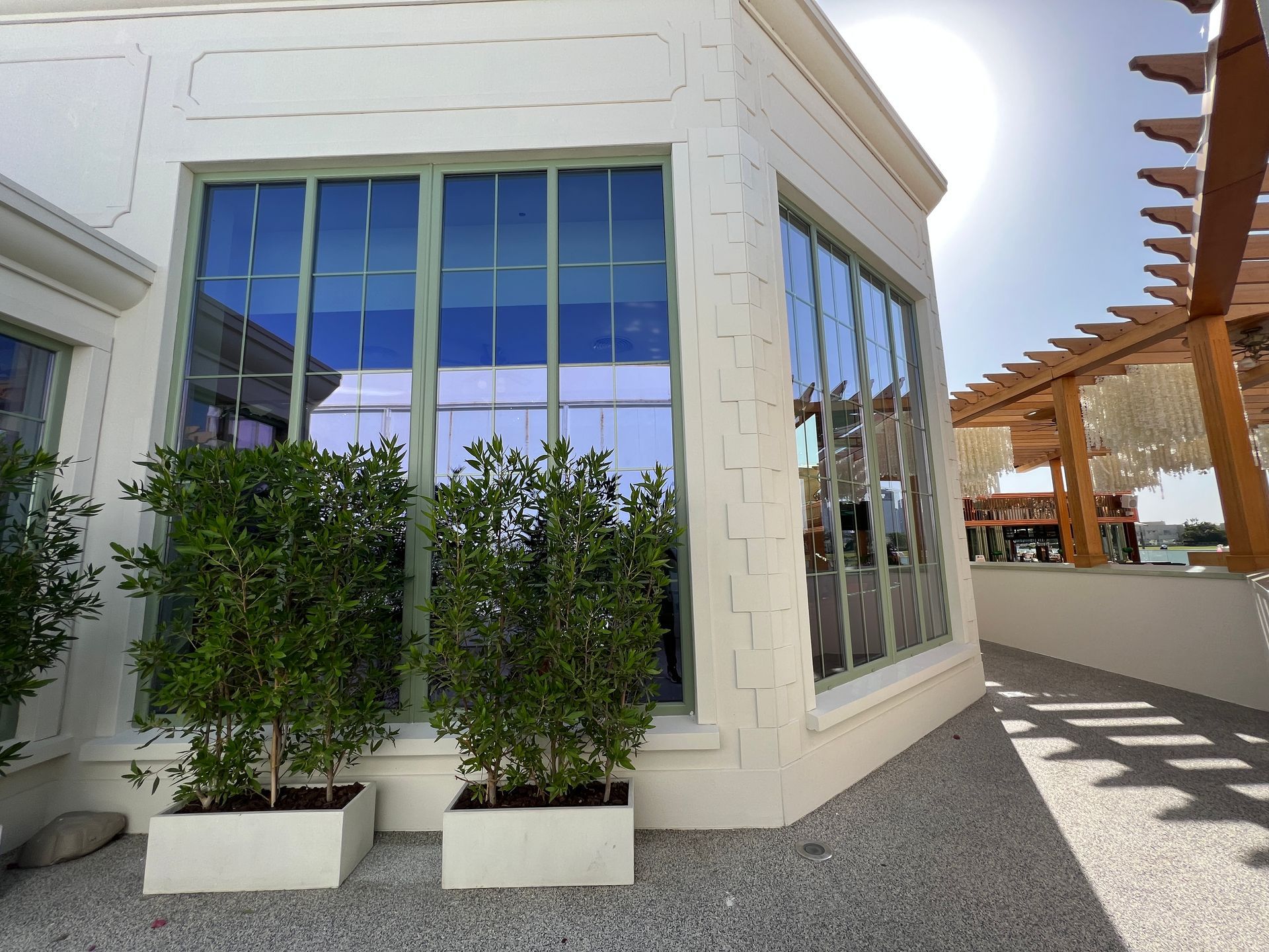 A white building with a lot of windows and plants in front of it