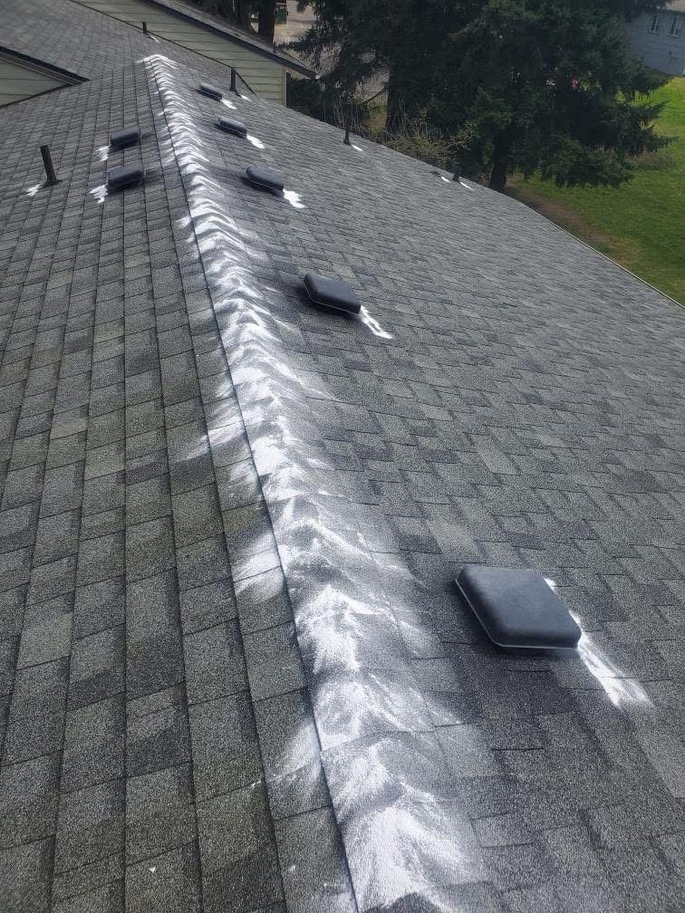 Dark gray asphalt shingle roof with white streaks. Several vents and pipes are visible.