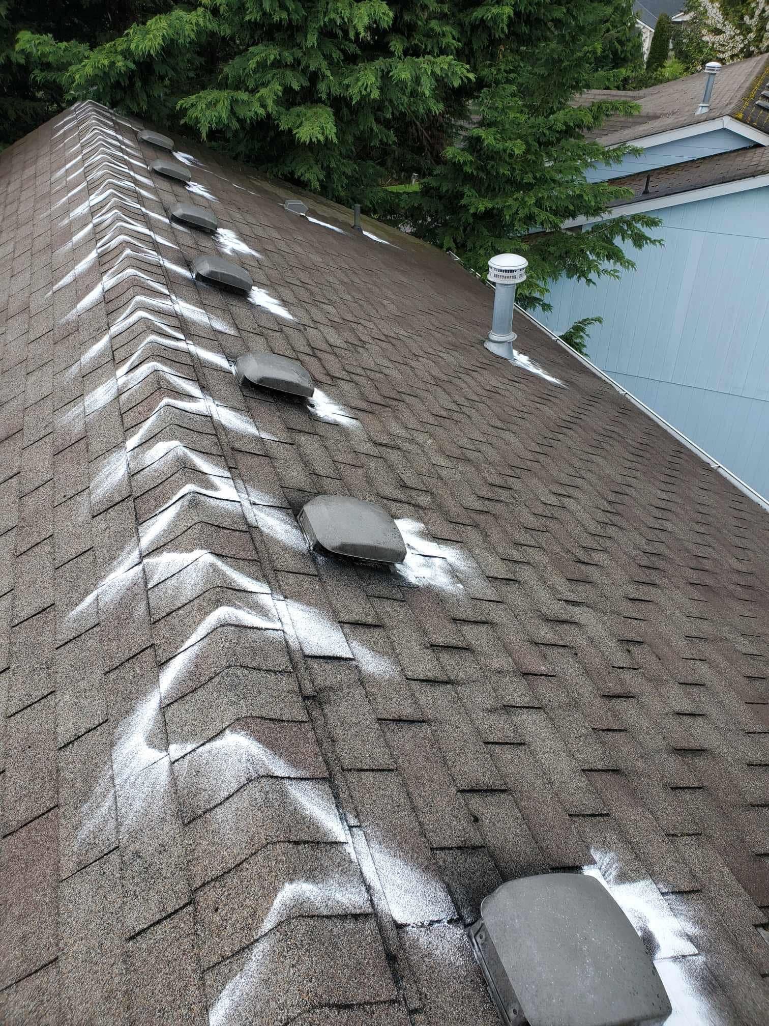 Brown shingled roof with white patches and vents. Green trees and blue house visible in the background.