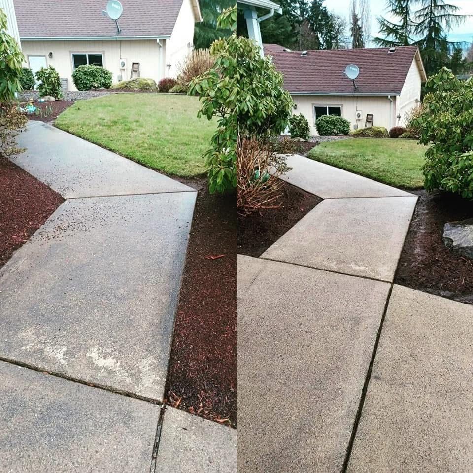 Sidewalk before and after cleaning; concrete path beside a lawn and house, mulch.