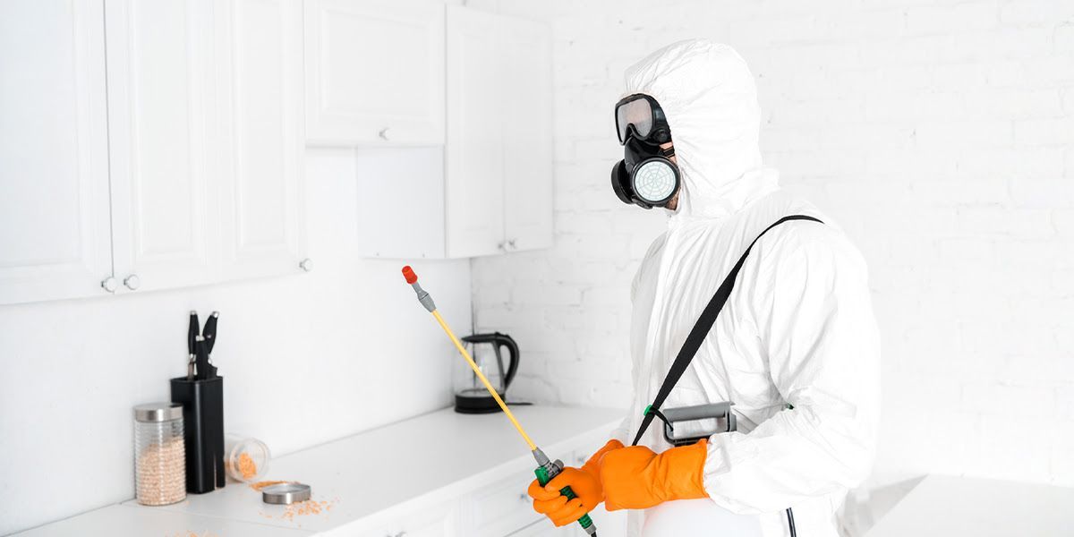 Who Pays for Pest Control in a Florida Rental Lease