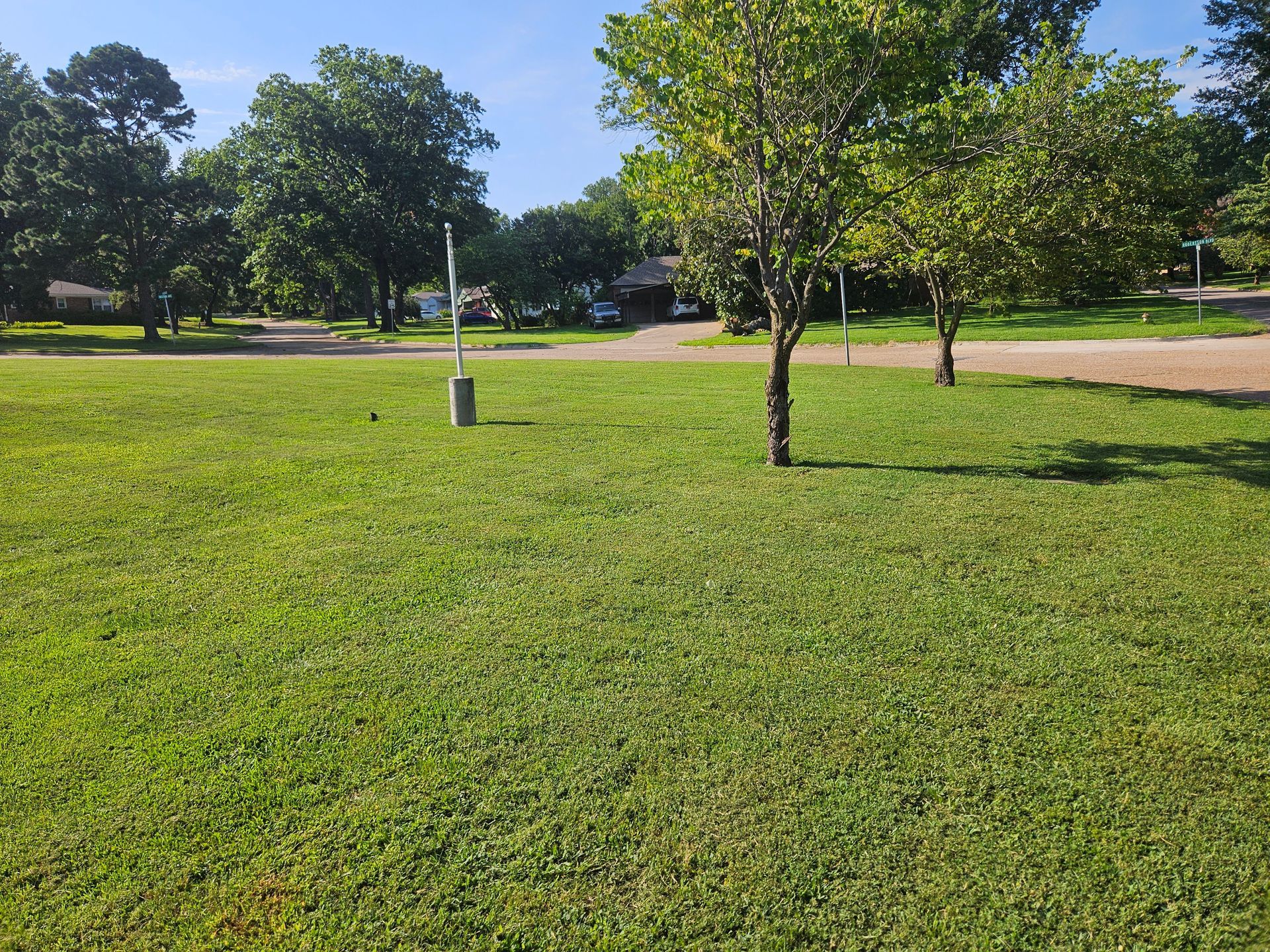 A lush green field with trees in the background