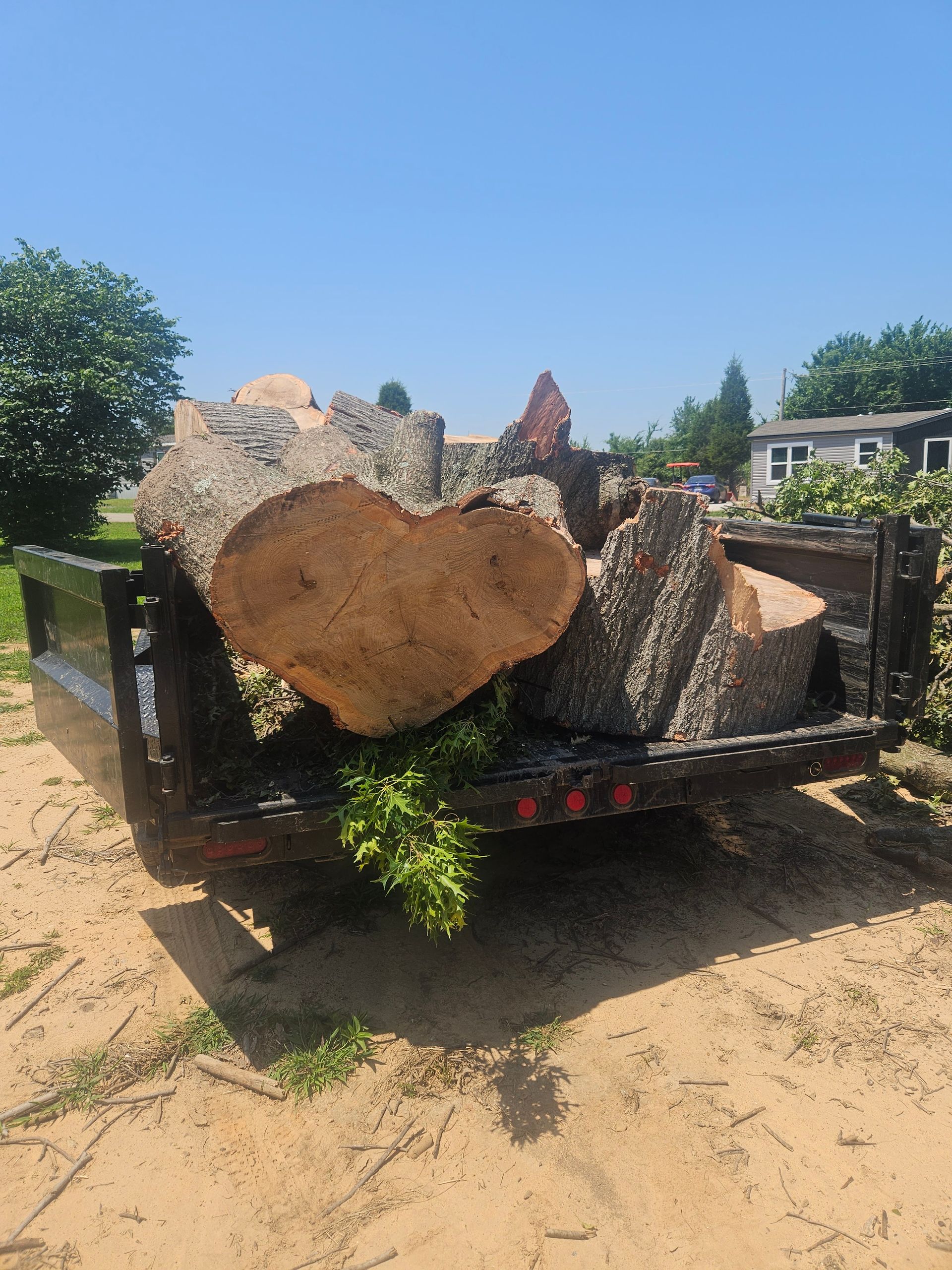 A large log is sitting on the back of a trailer.