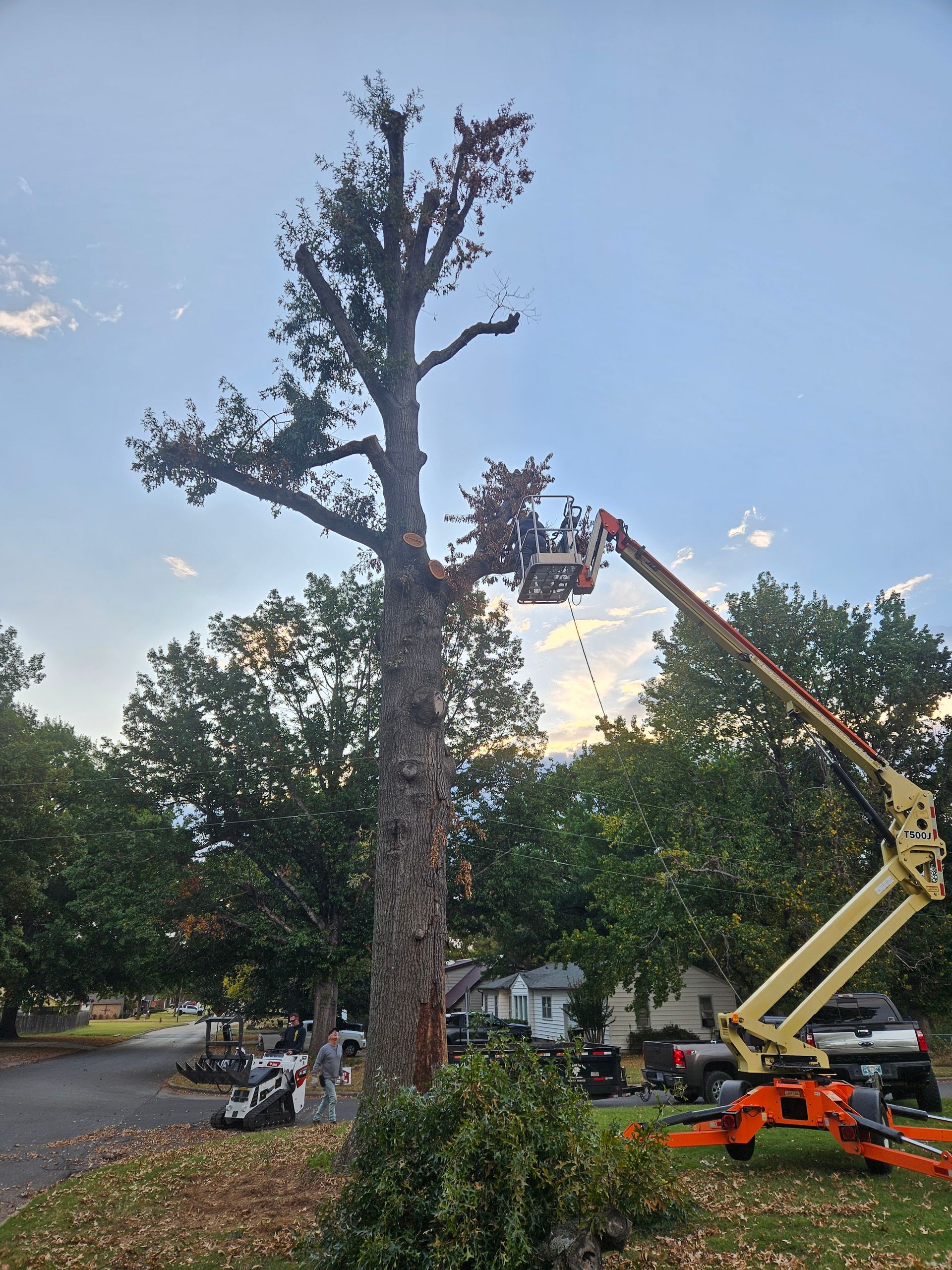 A man is cutting a tree with a crane.