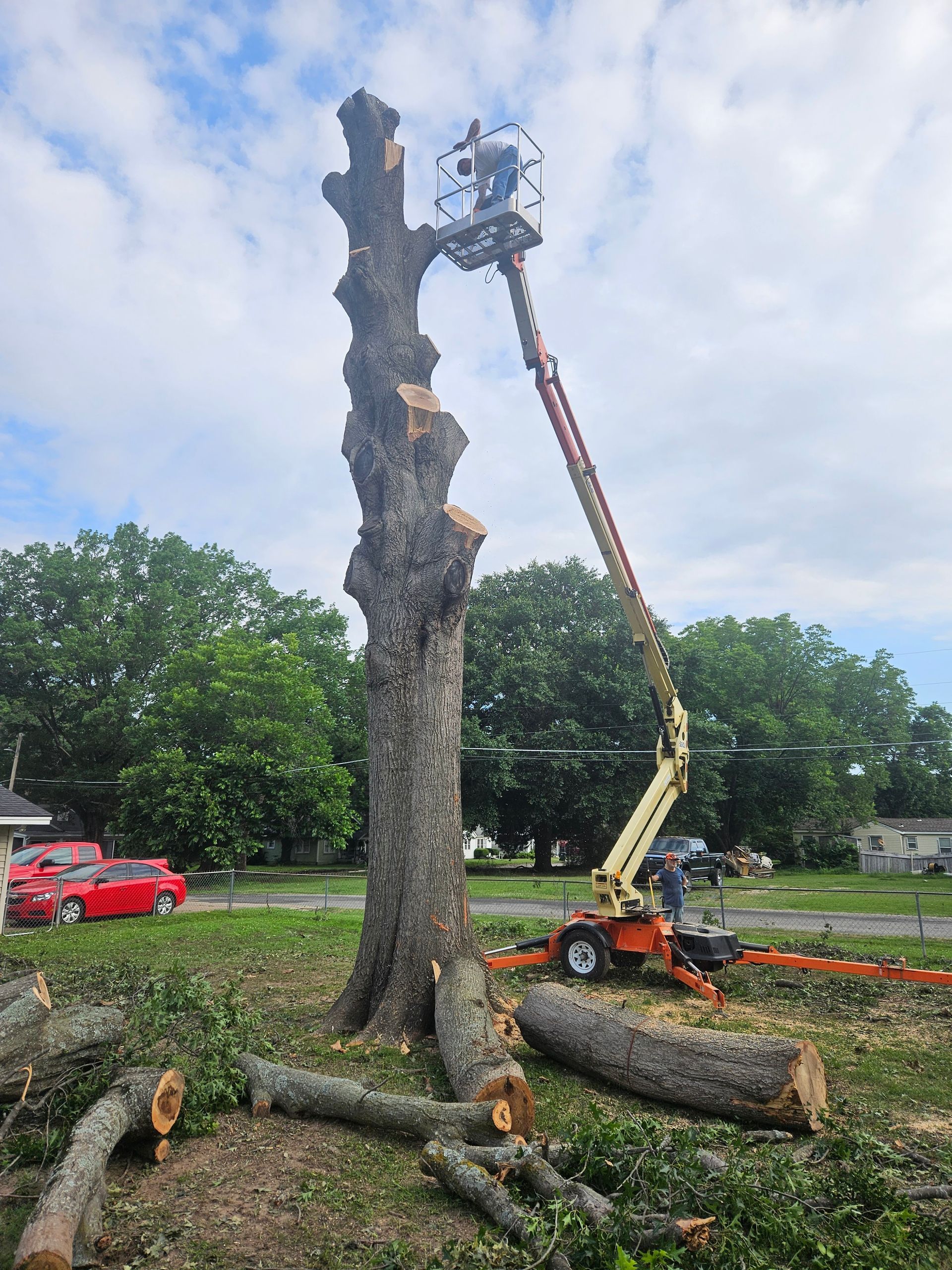 A man is cutting down a tree with a crane.