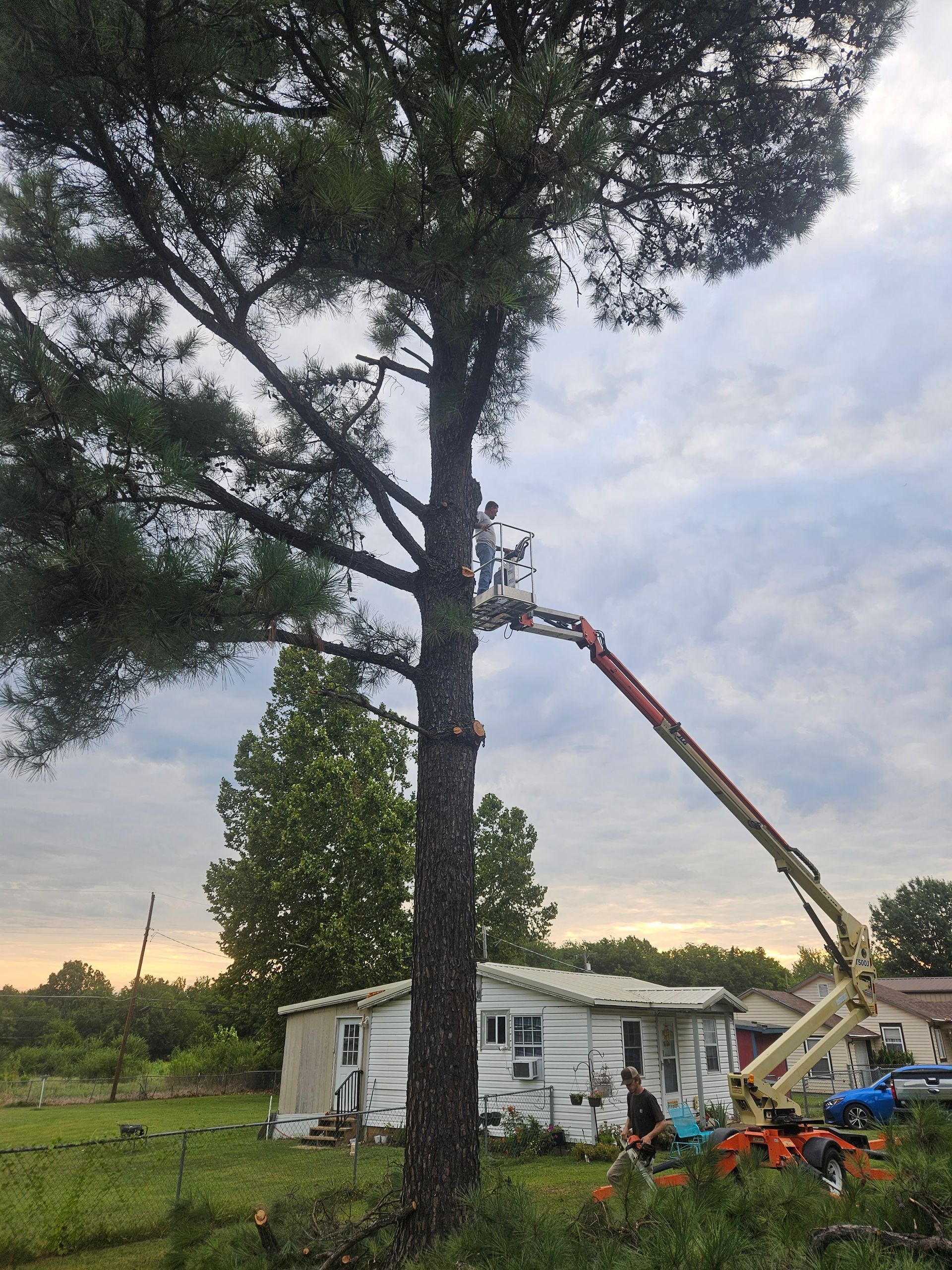 A man is cutting a tree with a crane in front of a house.