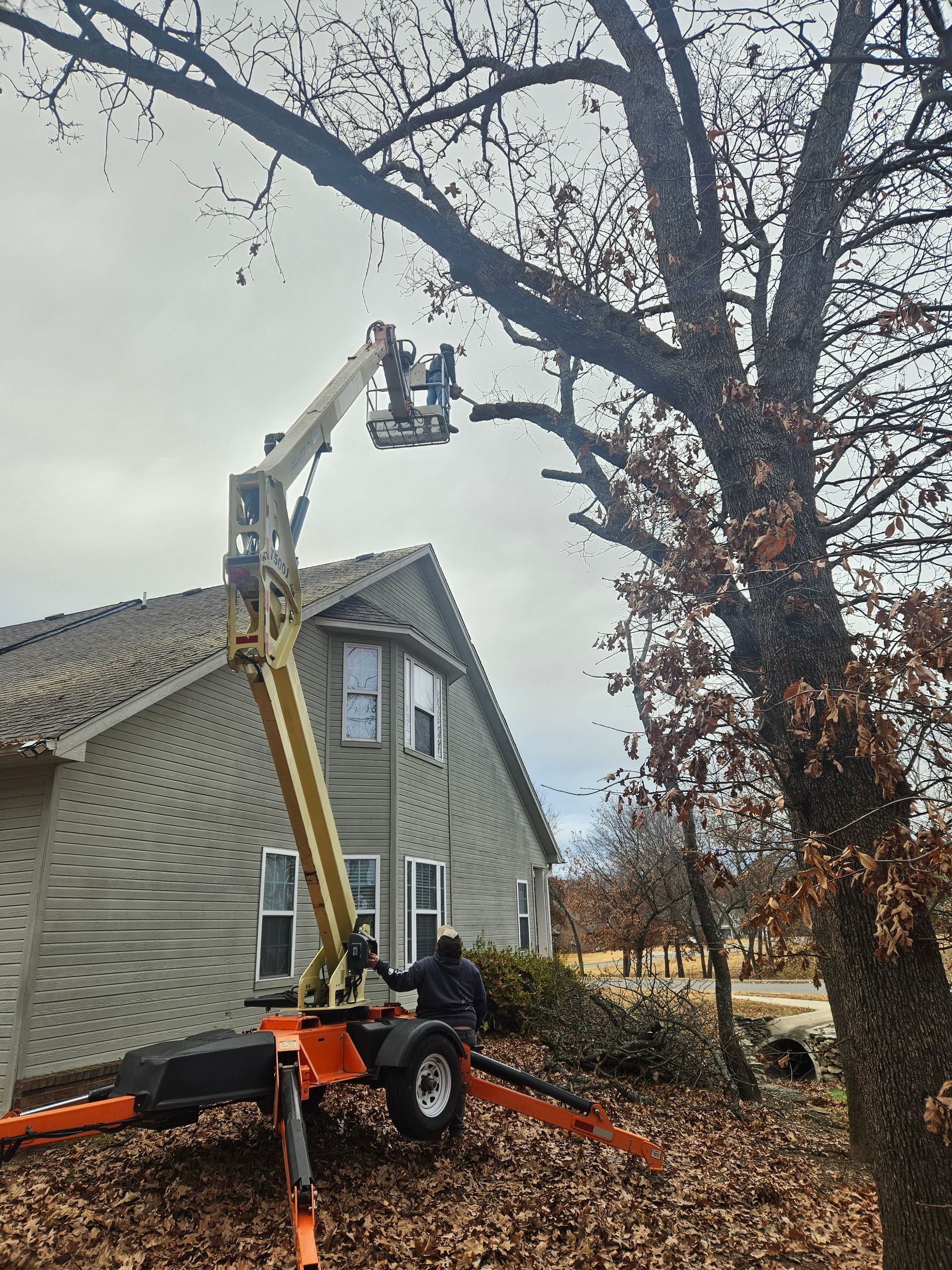 A man is cutting a tree with a crane in front of a house.
