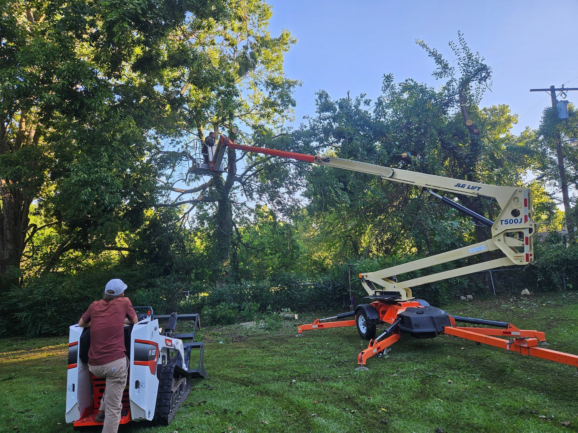A man is standing next to a crane that is cutting a tree.