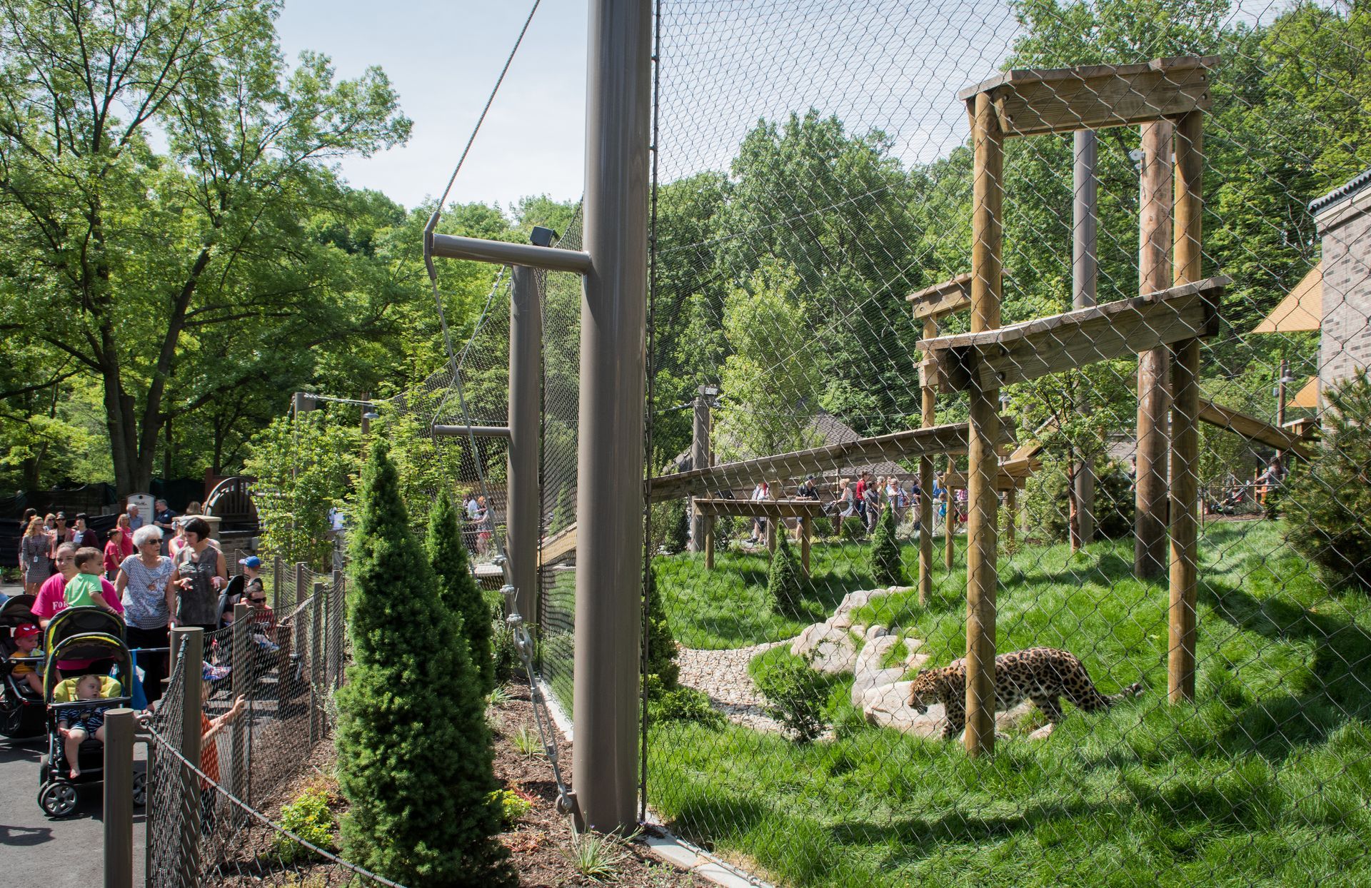 A group of people are walking through a zoo.