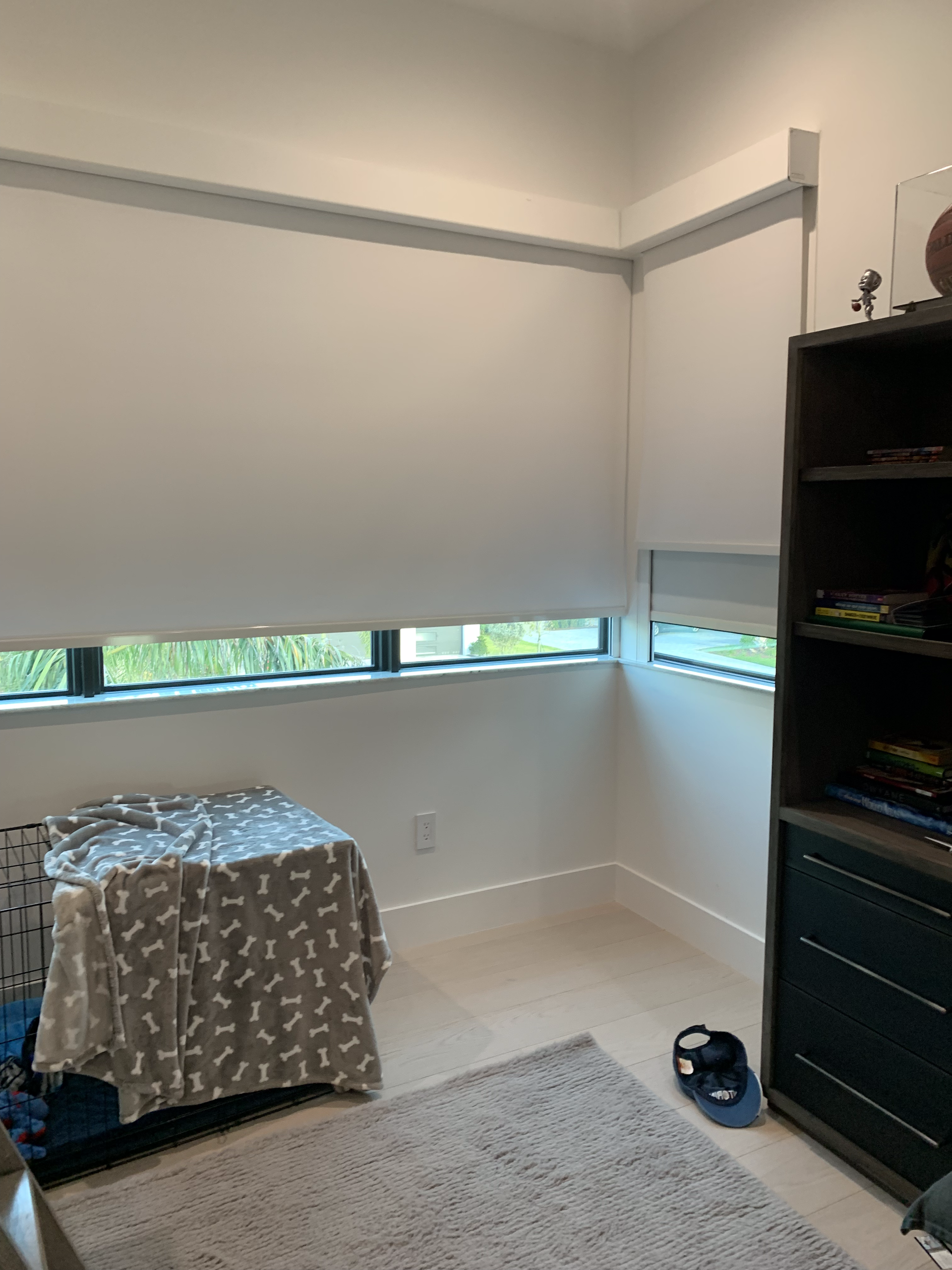 Corner room with white walls, window with closed blinds, a storage unit, and a rug.