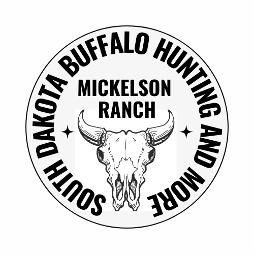 Buffalo Hunting Prices Mickelson Ranch South Dakota