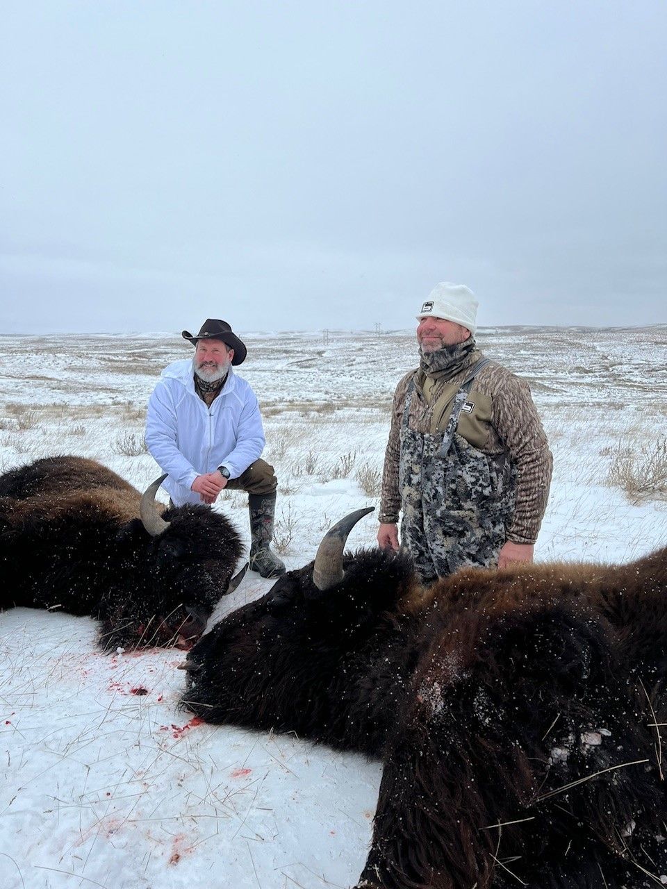 buffalo hunts, bison hunts, hunting buffalo South Dakota, SD, buffalo hunts, hunting guides, hunting outfitters
