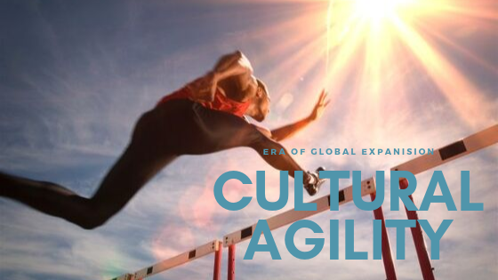 What is cultural competence picture