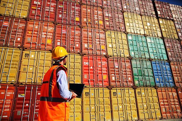 Worker in safety vest and helmet checks inventory with laptop in front of colorful shipping containers.