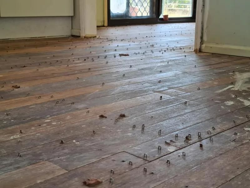 A Wooden Floor With a Lot of Screws on It — Alan Aldridge Floor Sanding in Urraween, QLD