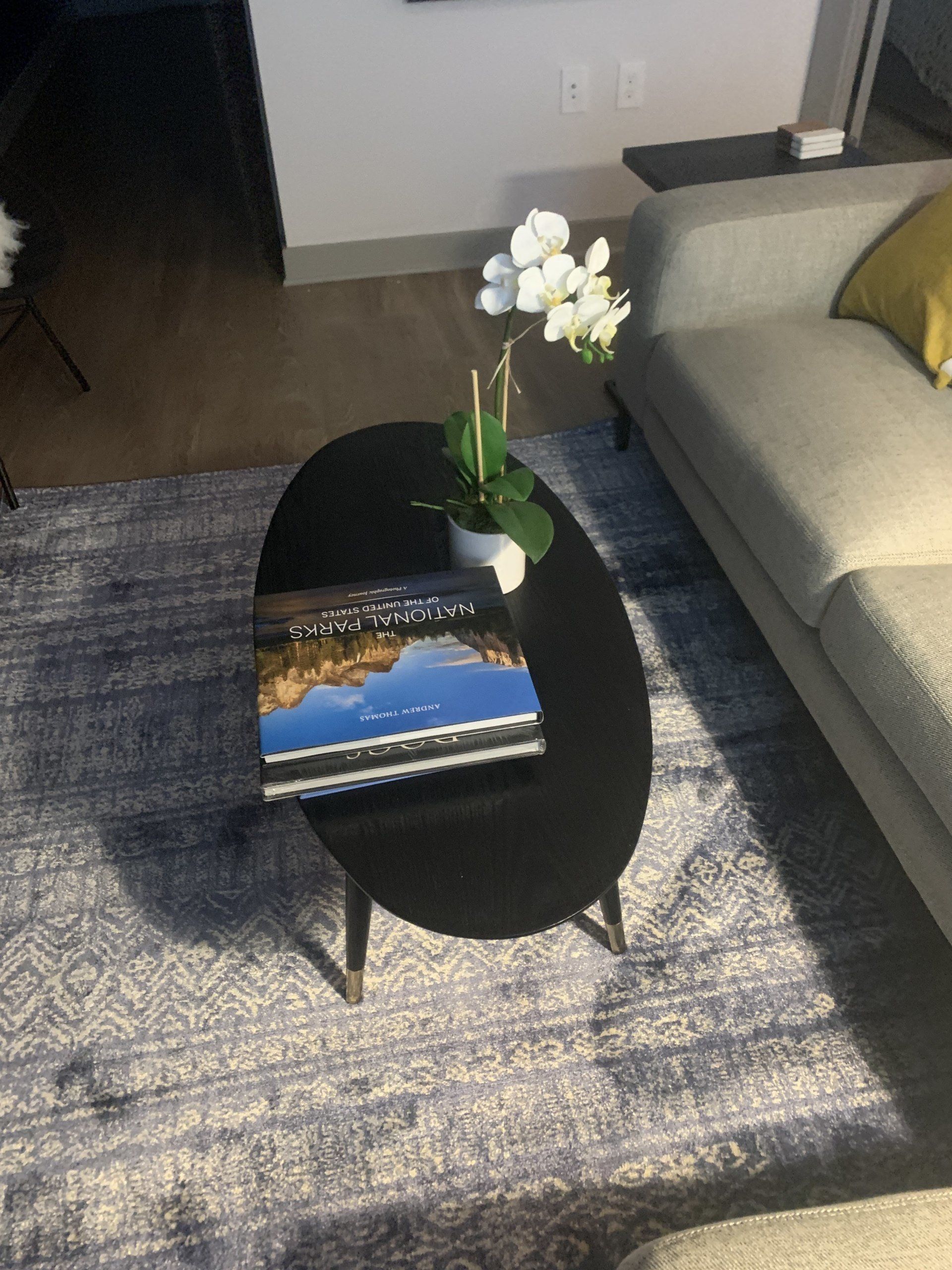 A living room with a couch and a coffee table