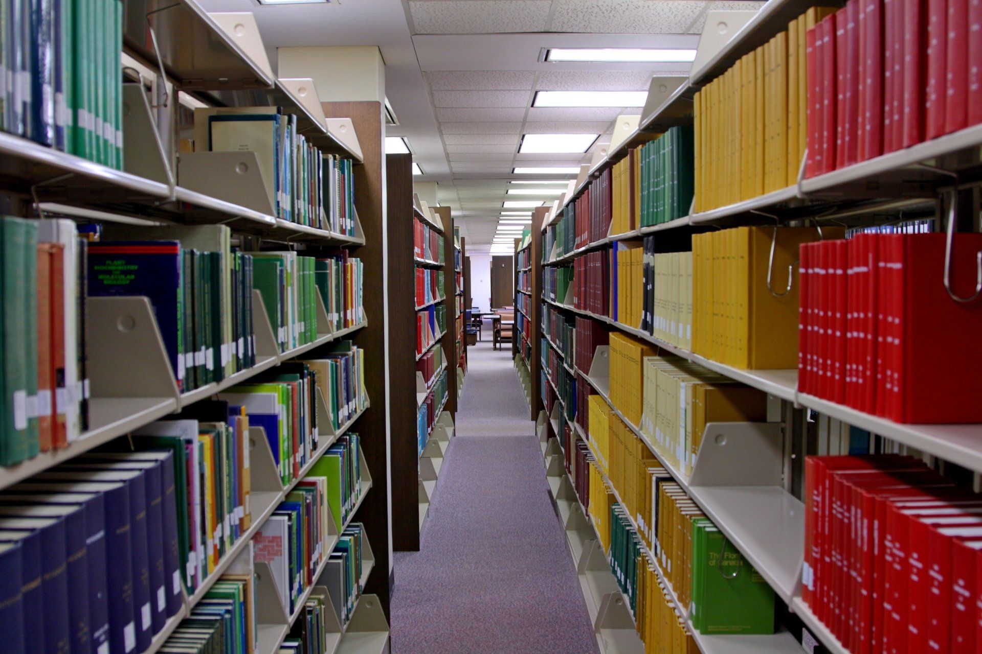 A library filled with lots of books on shelves