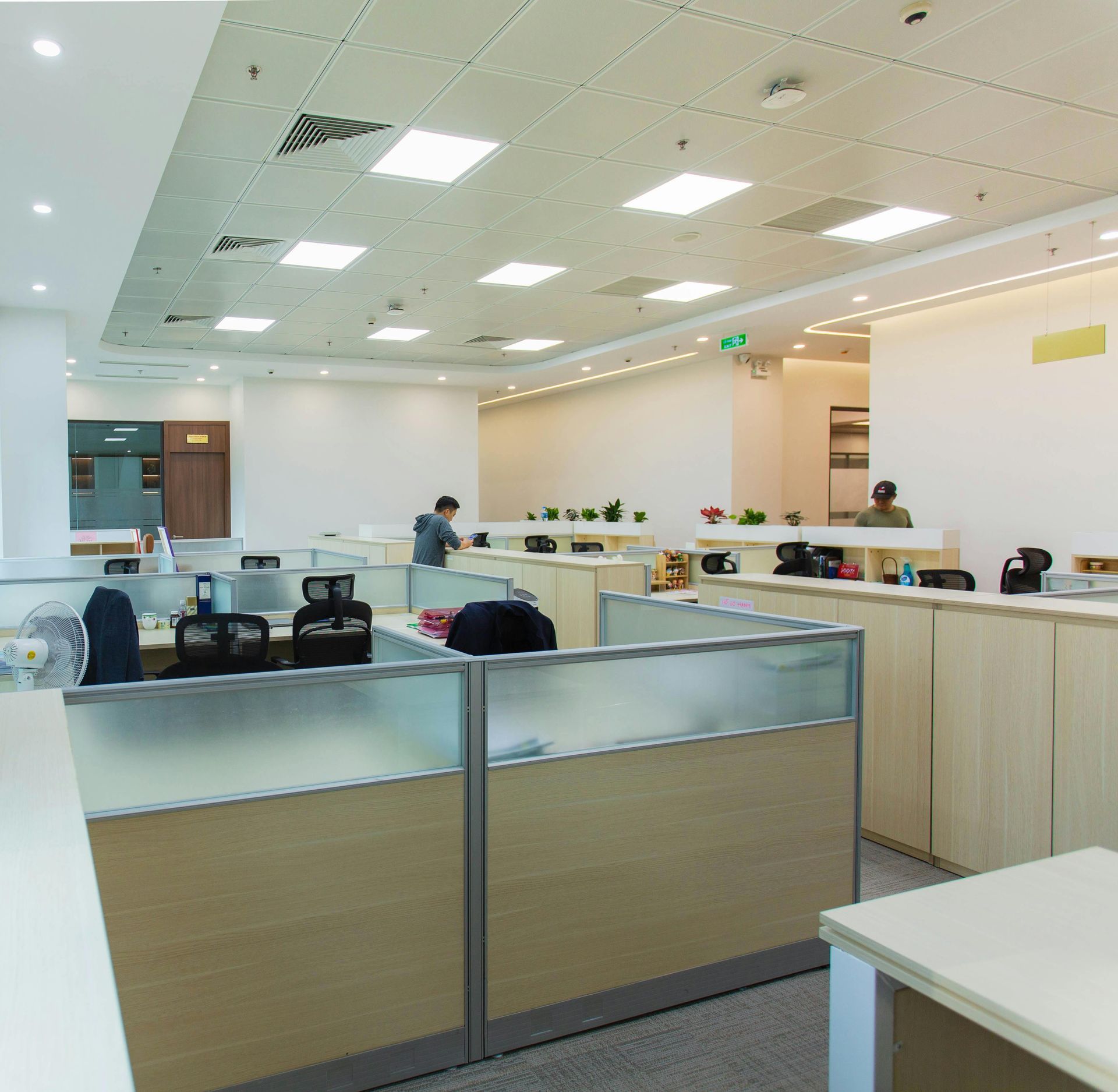 A bright, modern open-plan office featuring rows of cubicles with light wood finishes and frosted glass dividers.