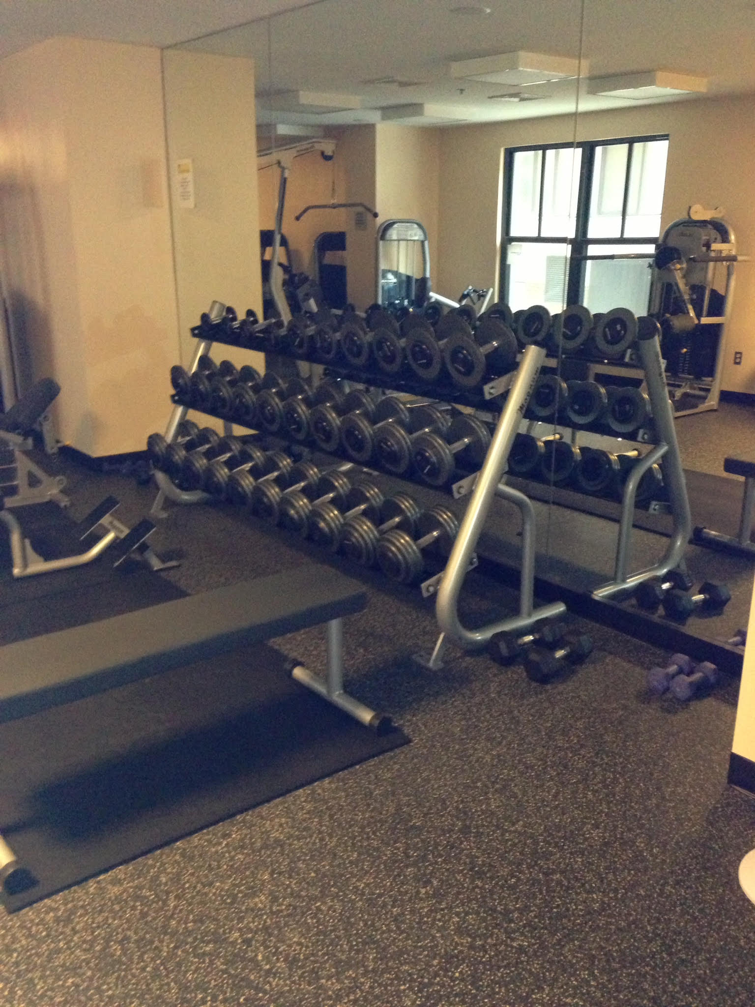 A gym with a lot of dumbbells and a bench