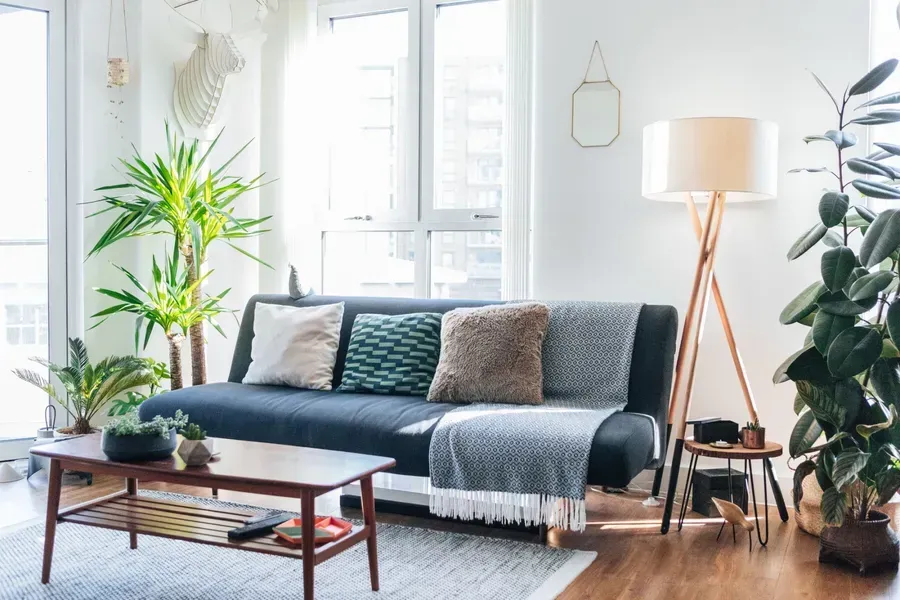 Bright living room with a gray sofa, coffee table, floor lamp, and large green plants by tall windows