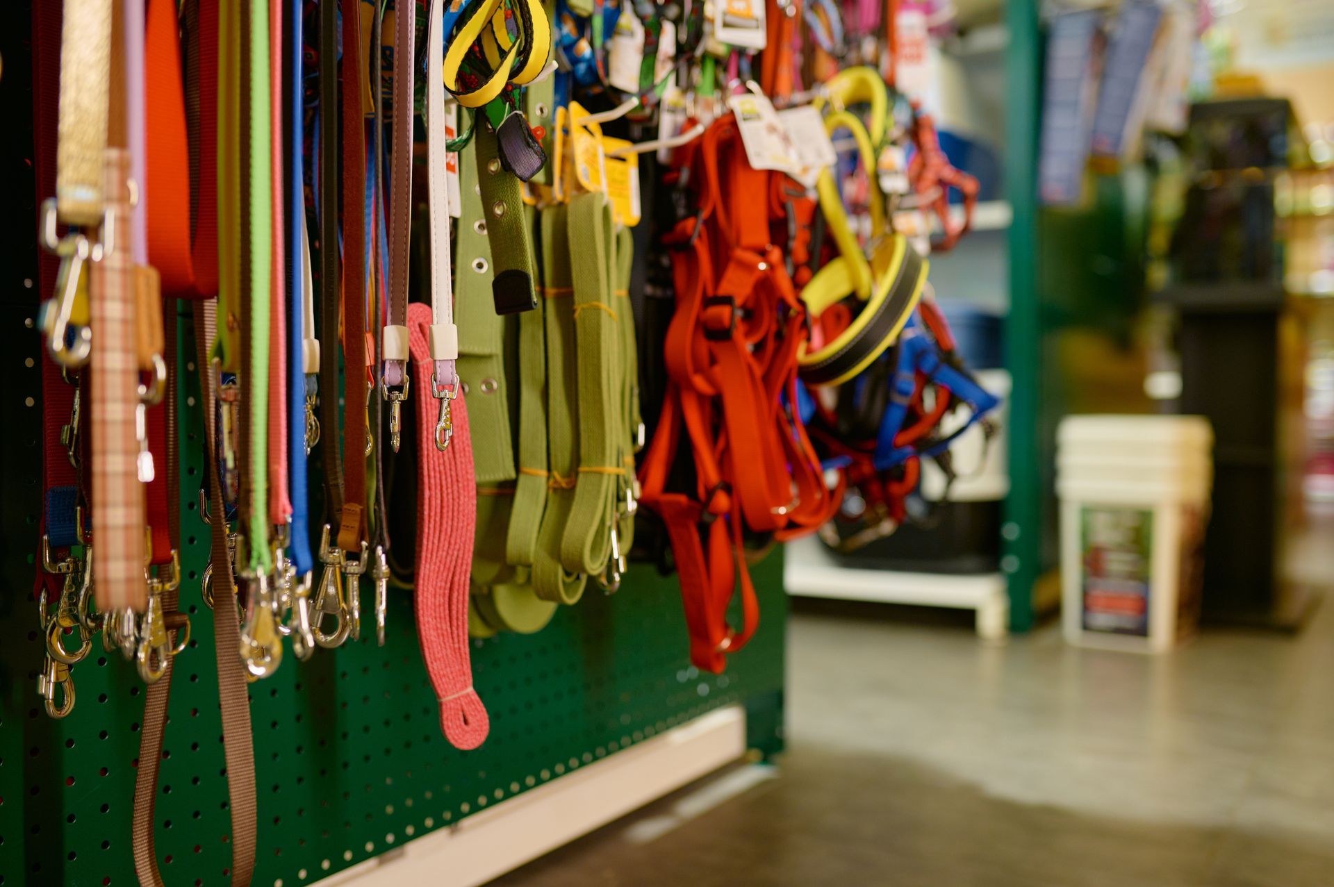 Colourful Dog Leashes and Harnesses Hanging on a Display in a Pet Store — NQ GAME MEAT in Kirwan, QLD