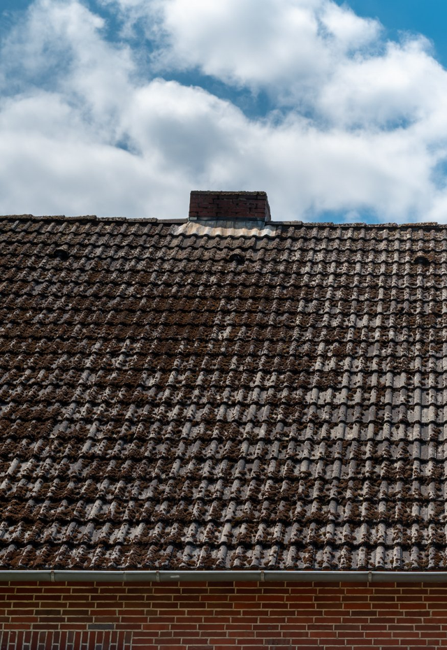 Roof Cleaning Services in Cedar Park TX