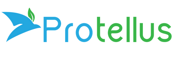 Protellus Logo | Internet Marketing | Toronto