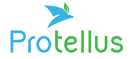 Protellus  Toronto Digital Marketing Agency logo