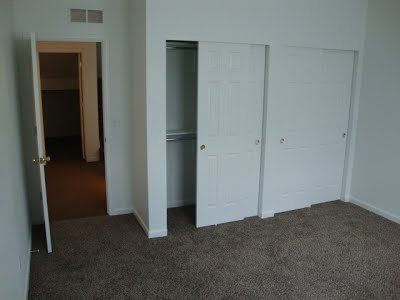 A bedroom with closet and carpet